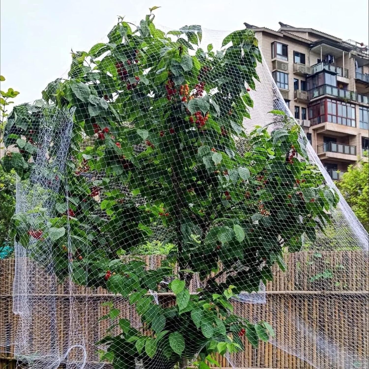 Rete for uccelli, alberi da frutta/piante/reti for fragole, grande recinzione giardino in plastica bianca, for animali, temporanea, for polli(5x10m/16.4x32.8ft)