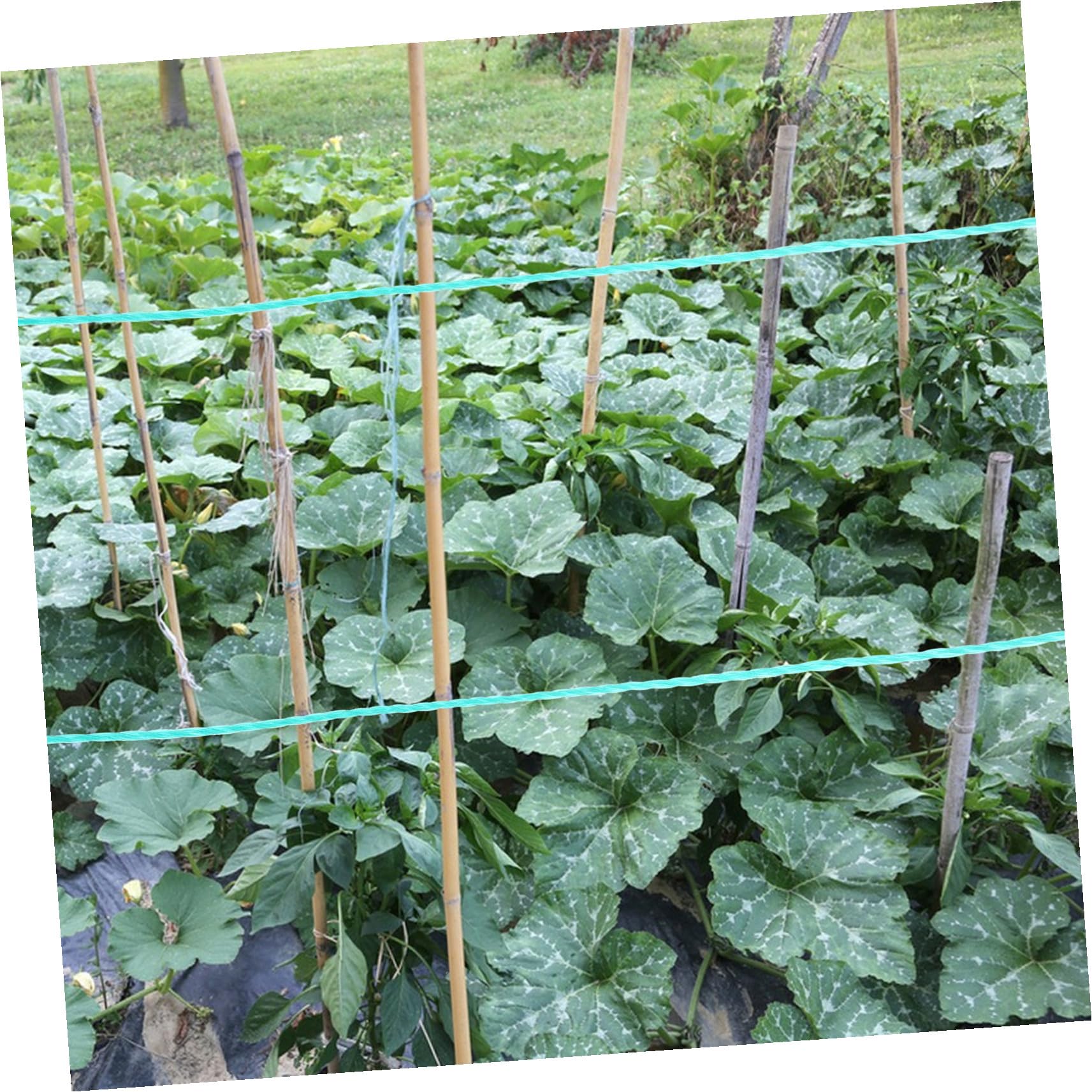 UPKOCH Corde Suspendre Végétale Ficelle de Jardinage Corde en PE pour Plantes Grimpantes