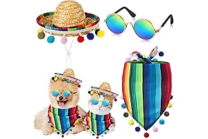 Mexican Cat Costume: Vibrant Fiestas for Feline Fashionistas