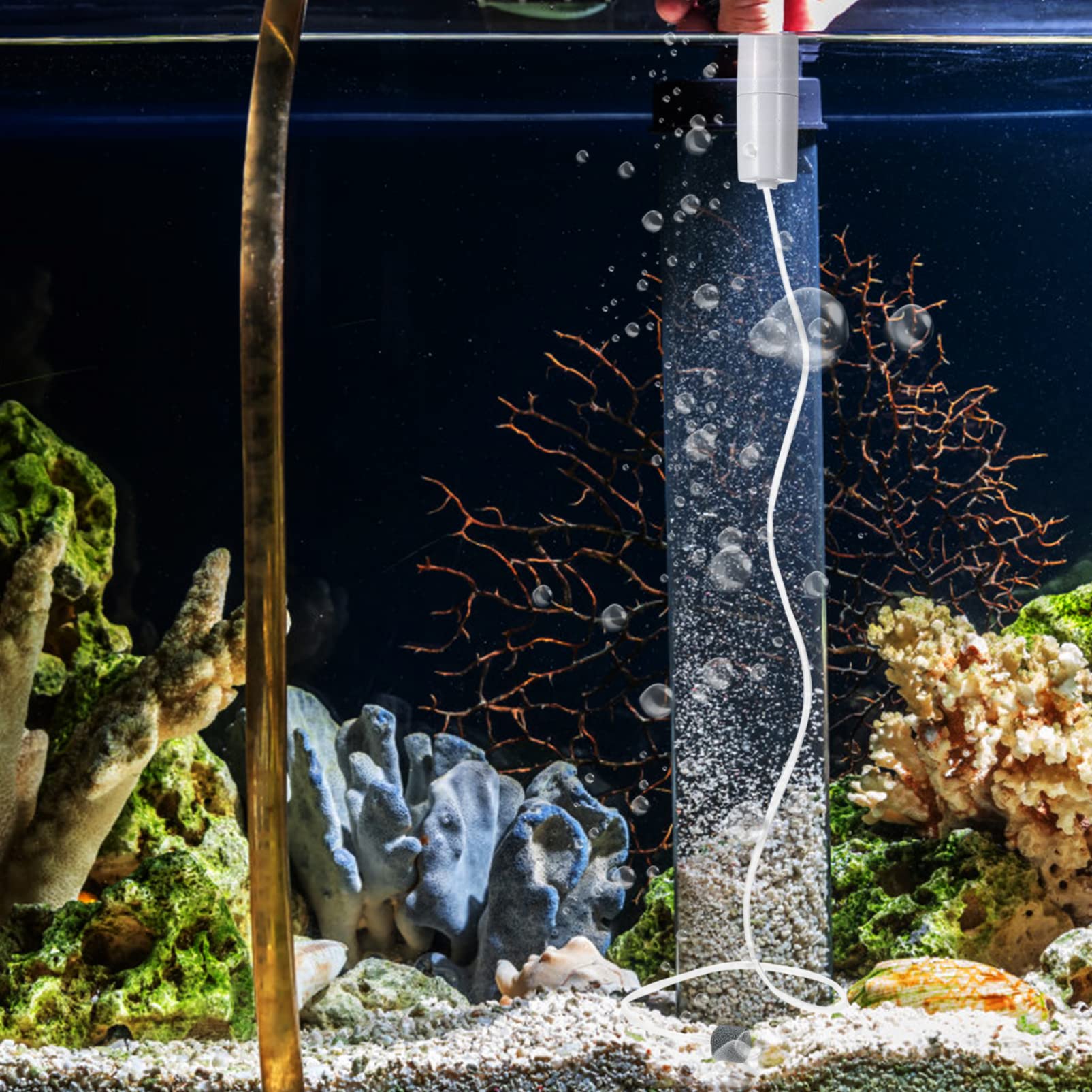 Bomba de Aire para Acuario, Bomba de oxígeno, Bomba de aireación silenciosa, Tanque de Peces pequeño, Bomba de oxígeno para Acuario