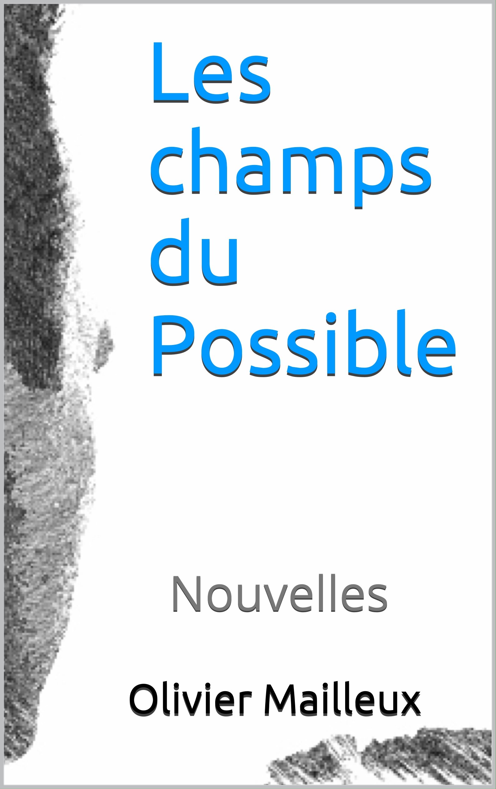 Les champs du Possible: Nouvelles (French Edition)