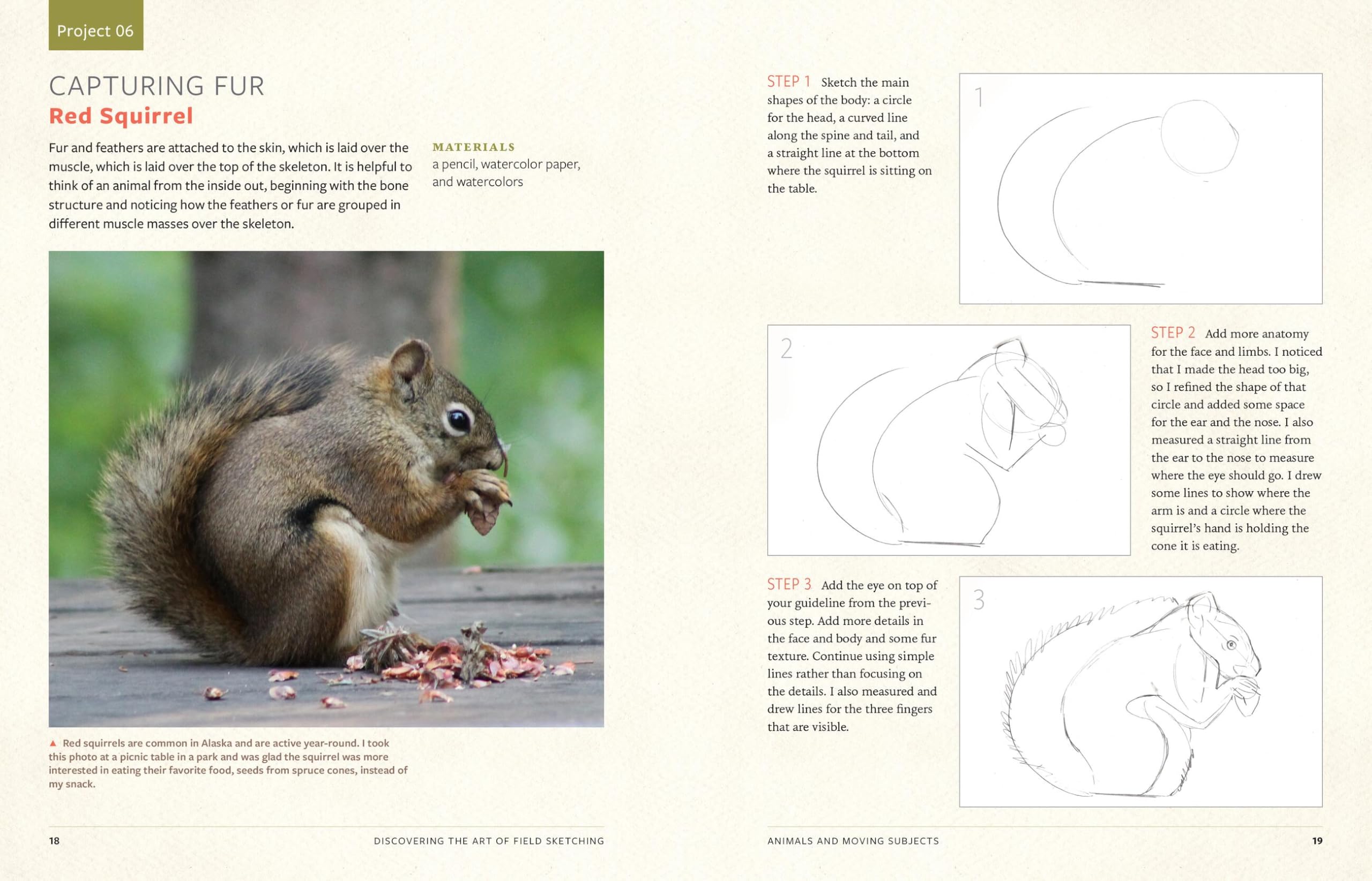 Discover the Art of Field Sketching: Nature-Inspired Techniques for Pencil, Pen, and Watercolor