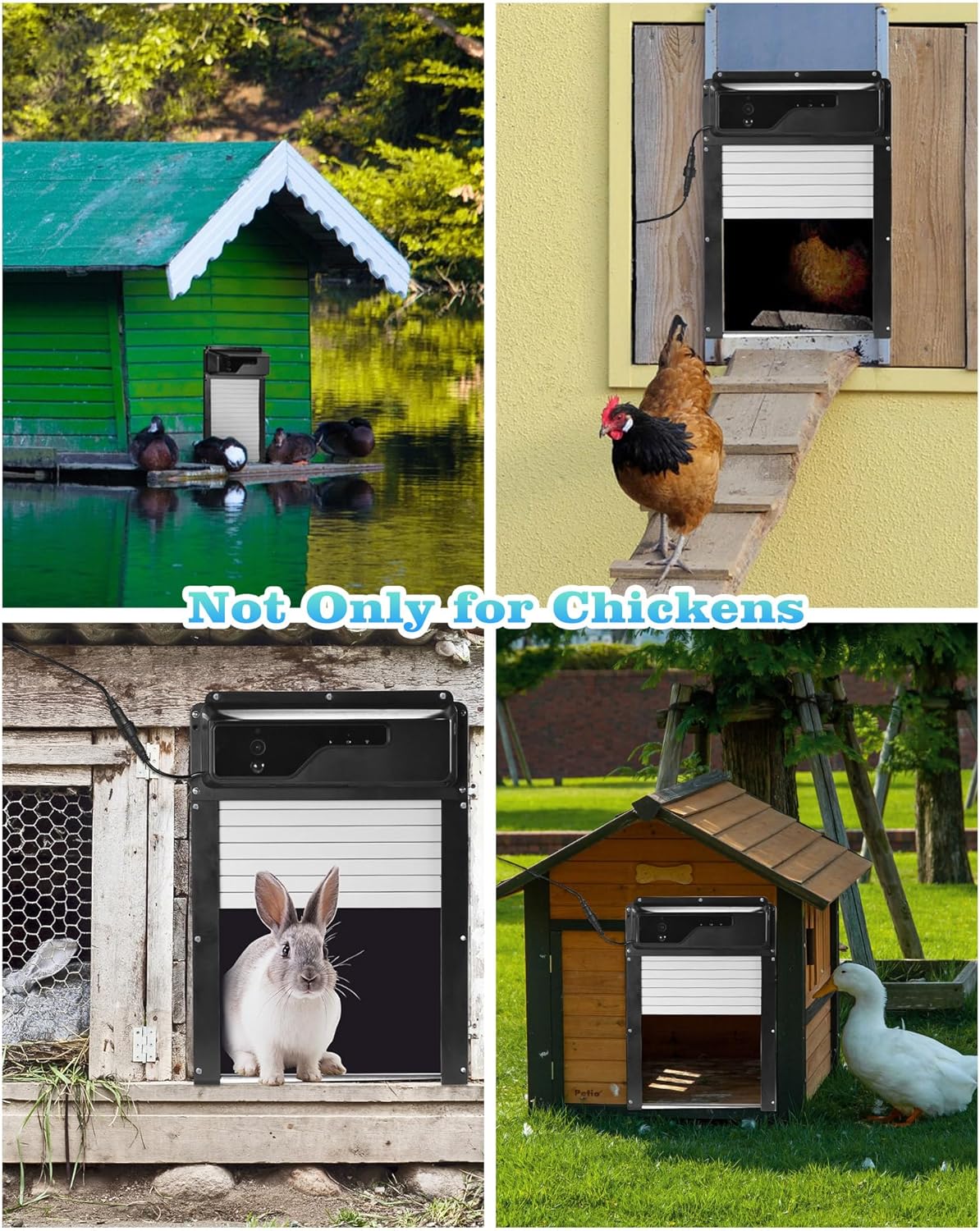 Automatic Chicken Coop Door with HD Camera, Solar Powered, 5000mAh Battery, WiFi App Remote Control & Timer, Night Vision, Anti-Pinch Sensor, Motion Alarm for Poultry Coop (Black)