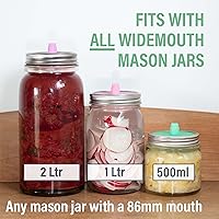 Vista 6 de Glass Fermentation Weights for Fermenting Easy Lift Handles Set of 4 Pickle Weights for Wide Mouth Jars