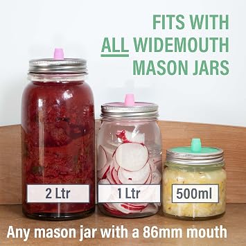 Glass Fermentation Weights for Fermentation with Easy Lift Handles, Set of 4