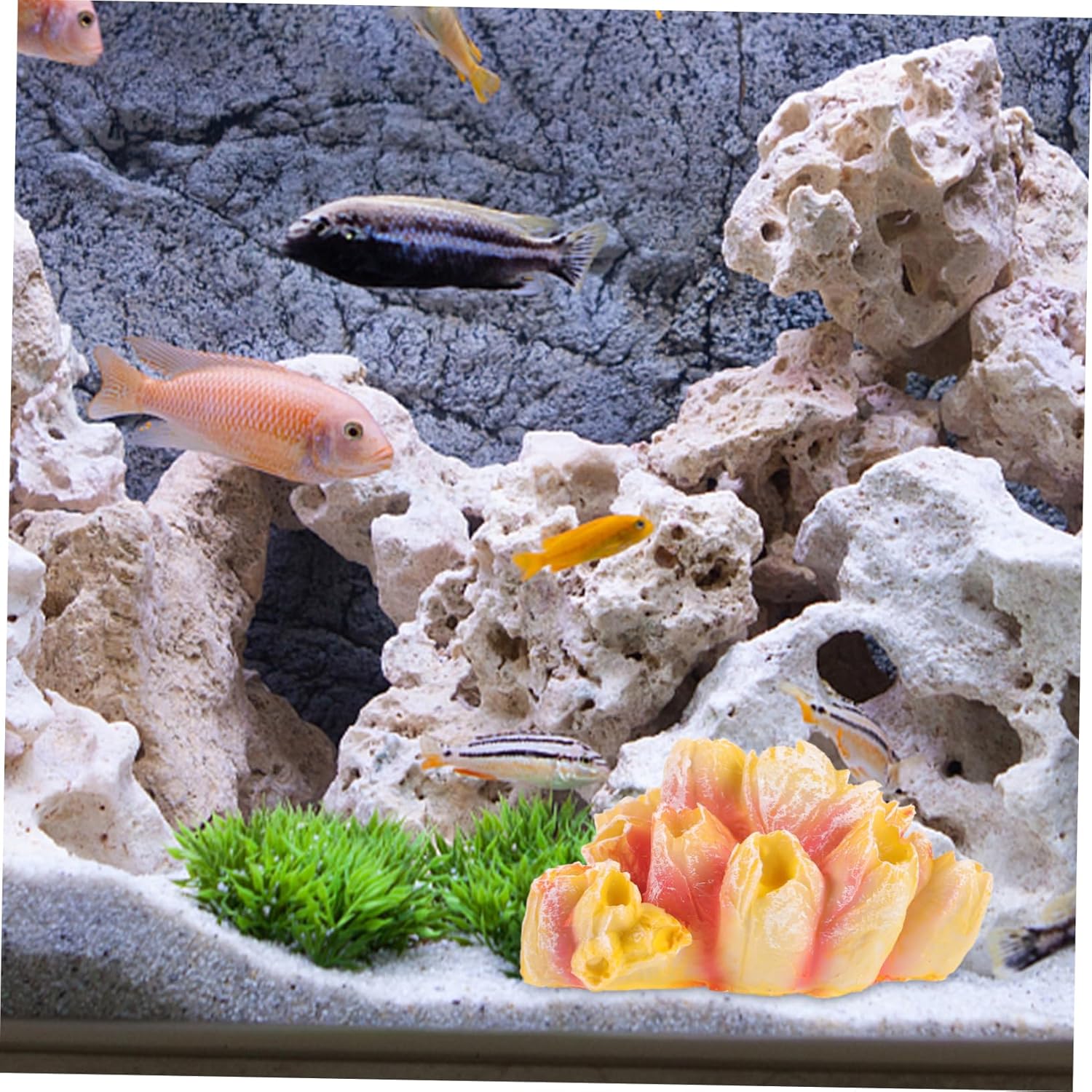 Mikikit 5pcs Aquarium Coral Reef Decoration Realistic Resin Coral Figurine for Fish Tank Lifelike Sea Anemone Decor for Home Aquatic Environments and Creative Aquascaping