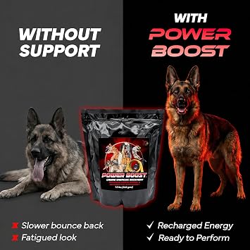 CPN Power Boost Canine - High Performance Formula with Electrolytes 1.8 Lbs | Power Boost, Low Fat, High-Carb Rehydration & Recovery Supplement for Working & Sporting Endurance, Muscle Recovery & Cooling