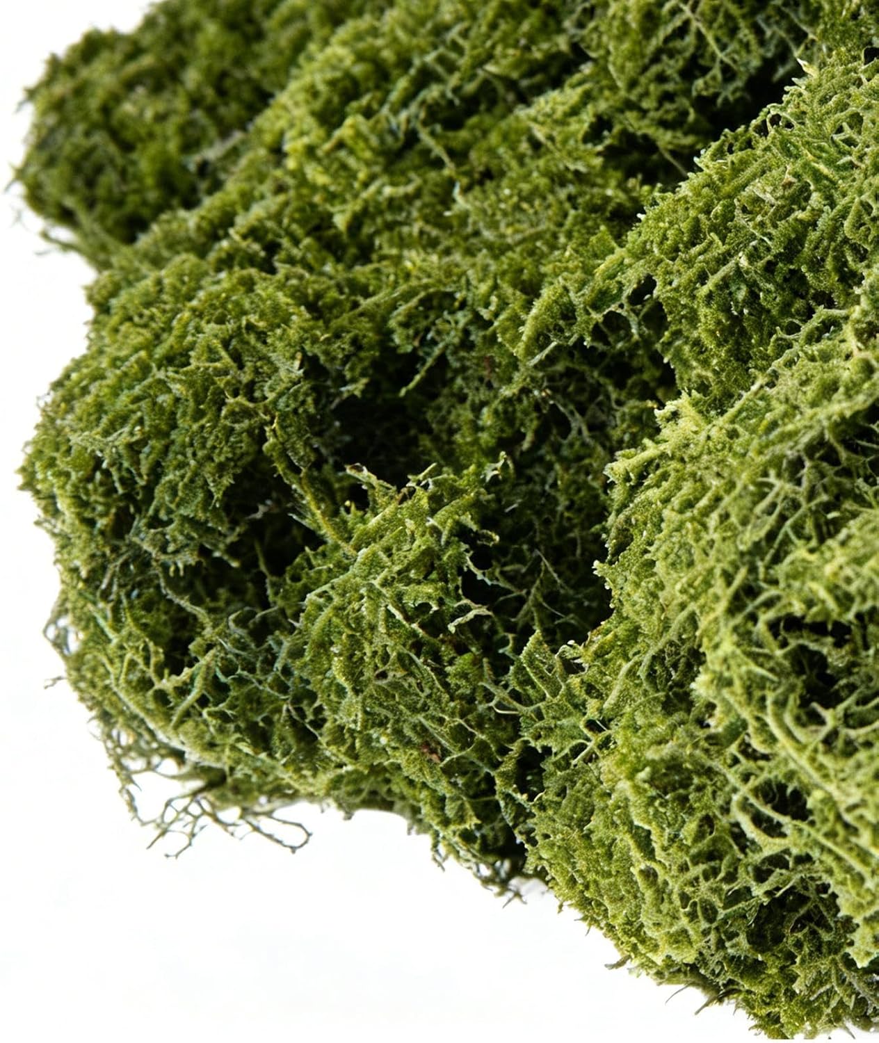 Artificial Moss Fade Resistant UV Resistant Waterproof
