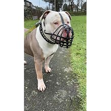 Biothane Dog Muzzle for XL American Bully, XL Bully and Other Dogs with Short snouts, Training & Behaviour. Strong, Waterproof Design. Handmade, Durable