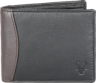 wildhorn Rfid Protected Leather Wallet For Men, Brown-picture-13