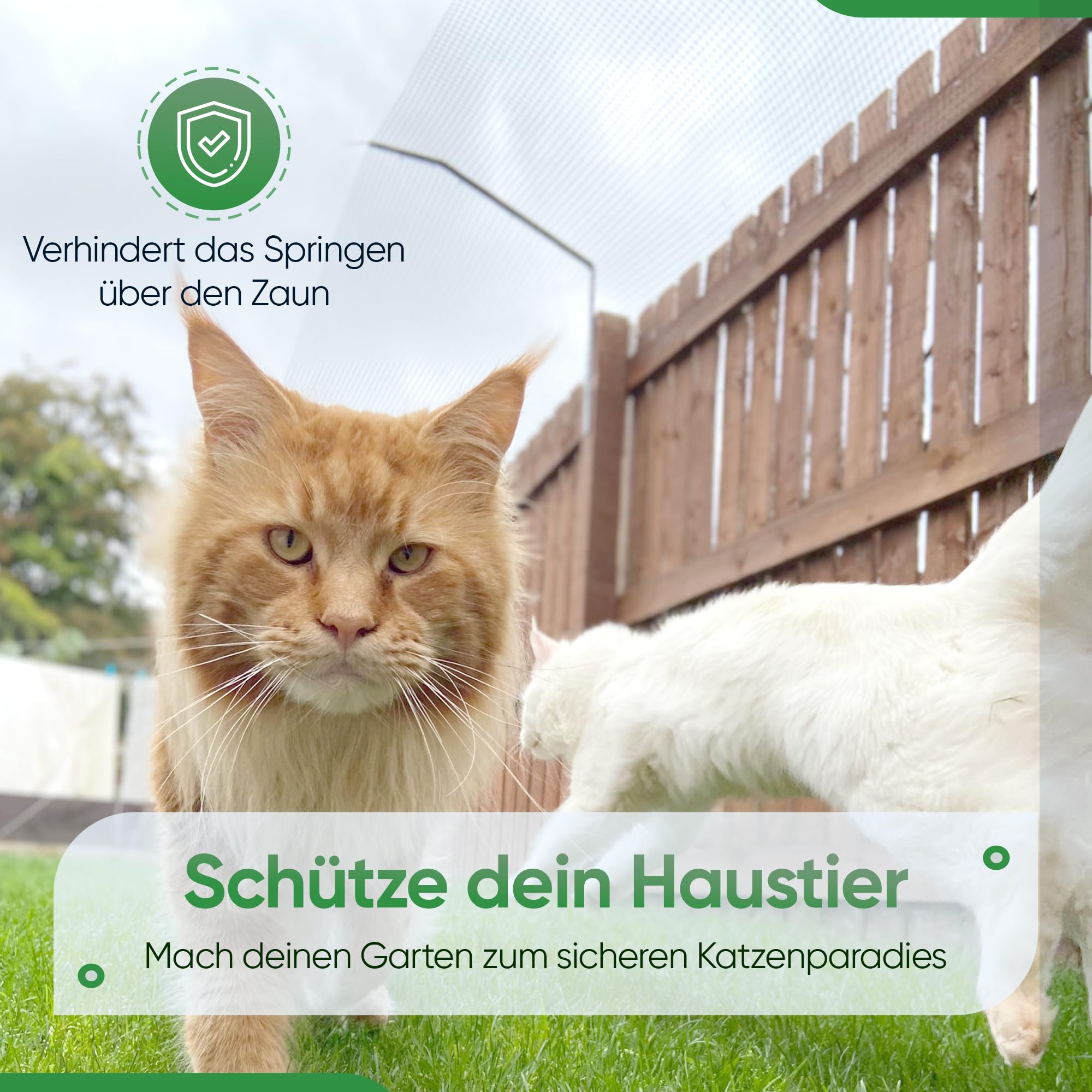 Kattengaas 1 x 10 Meter inklusive Halterungen - Vorteilsset