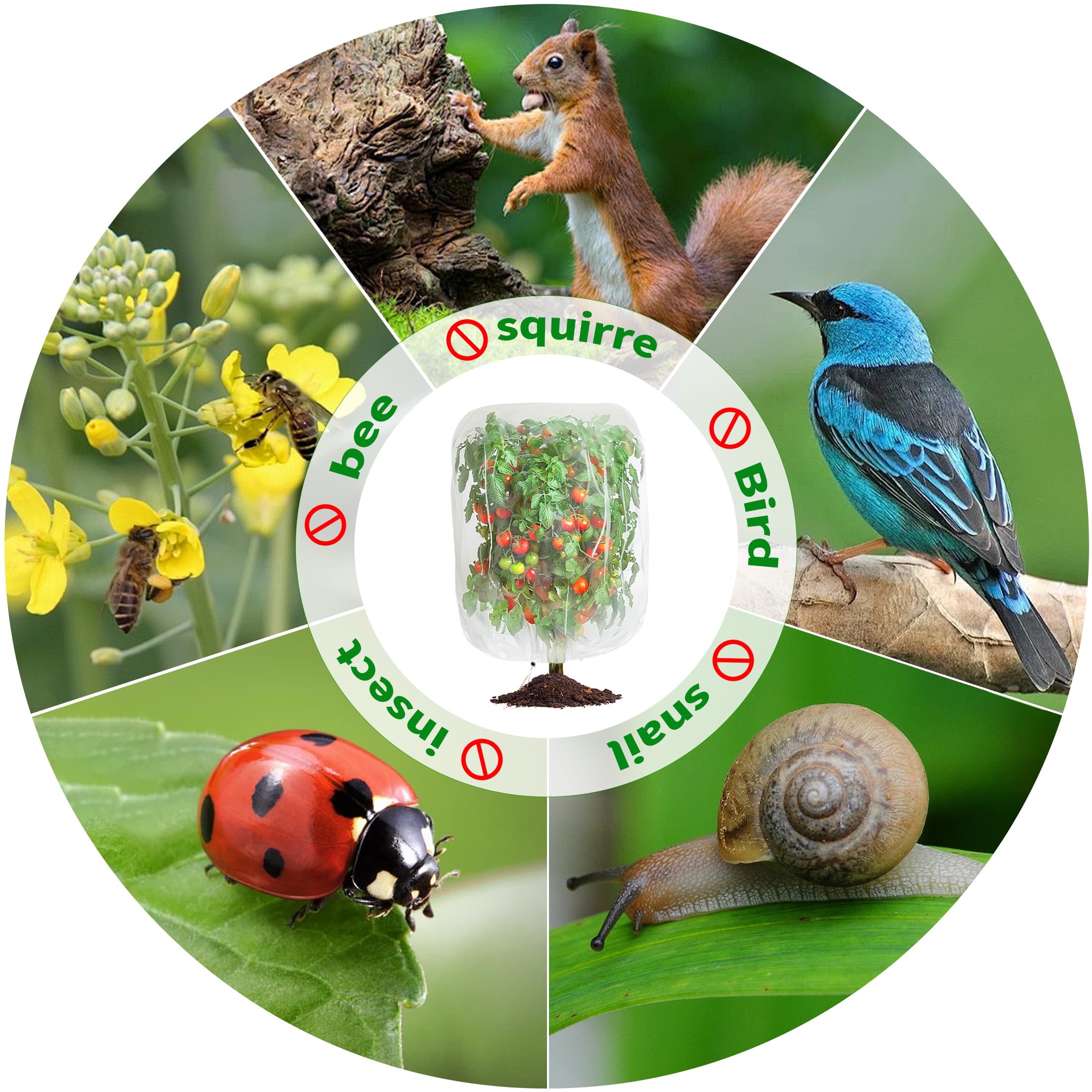 afzdby Gartennetz mit Kordelzug, Pflanzenschutz, Schutz vor Vögeln, Insekten, Zikaden und Insekten, Schädlingsbarriere, Tasche für Heidelbeersträucher, Zitrusfrüchte, Tomaten, Gemüse, Obstbäume und