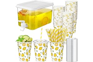 Party Up with Dingion Lemonade Stand Supplies for Kids
