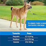 Ver la foto 6