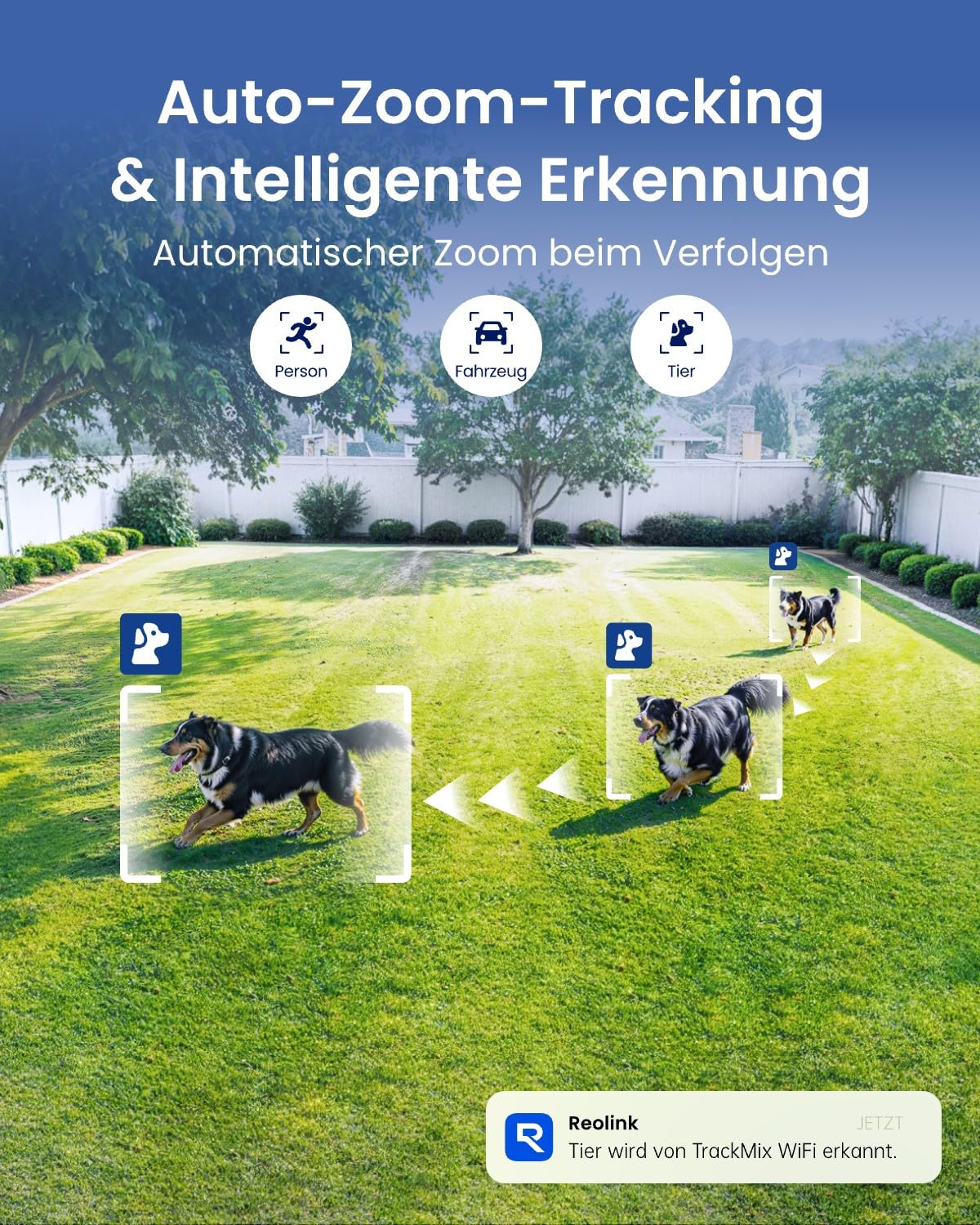 Reolink 4K 8MP Wi-Fi 6 PTZ Überwachungskamera Aussen mit Dual-Objektiv, Auto-Tracking-Zoom, WLAN Kamera Outdoor mit 3 Smart-Erkennungsmodi, 30m Farbnachtsicht, Außenkamera, Dual-Ansicht, TrackMix WiFi
