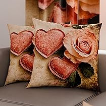 PETTI Artigiani Italiani – Coppia di Federe Cuscino 50×50 cm in Microfibra, Cuscini Arredo Camera da Letto, Divano, Salotto, Set 2 Fodere Copricuscino, Federa Shabby 332, 100% Made in Italy