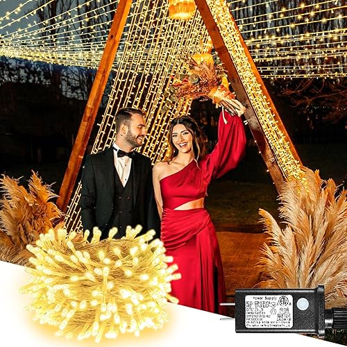 Guirnalda de 300 luces LED para interiores y exteriores, luces de Navidad extra largas de 99 pies, cable transparente impermeable, 8 modos de