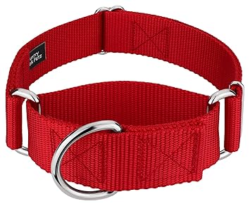 Country Brook Design - 1 1/2 Inch Martingale Heavyduty Nylon Dog Collar (Medium, 1 1/2 Inch Wide, Red)