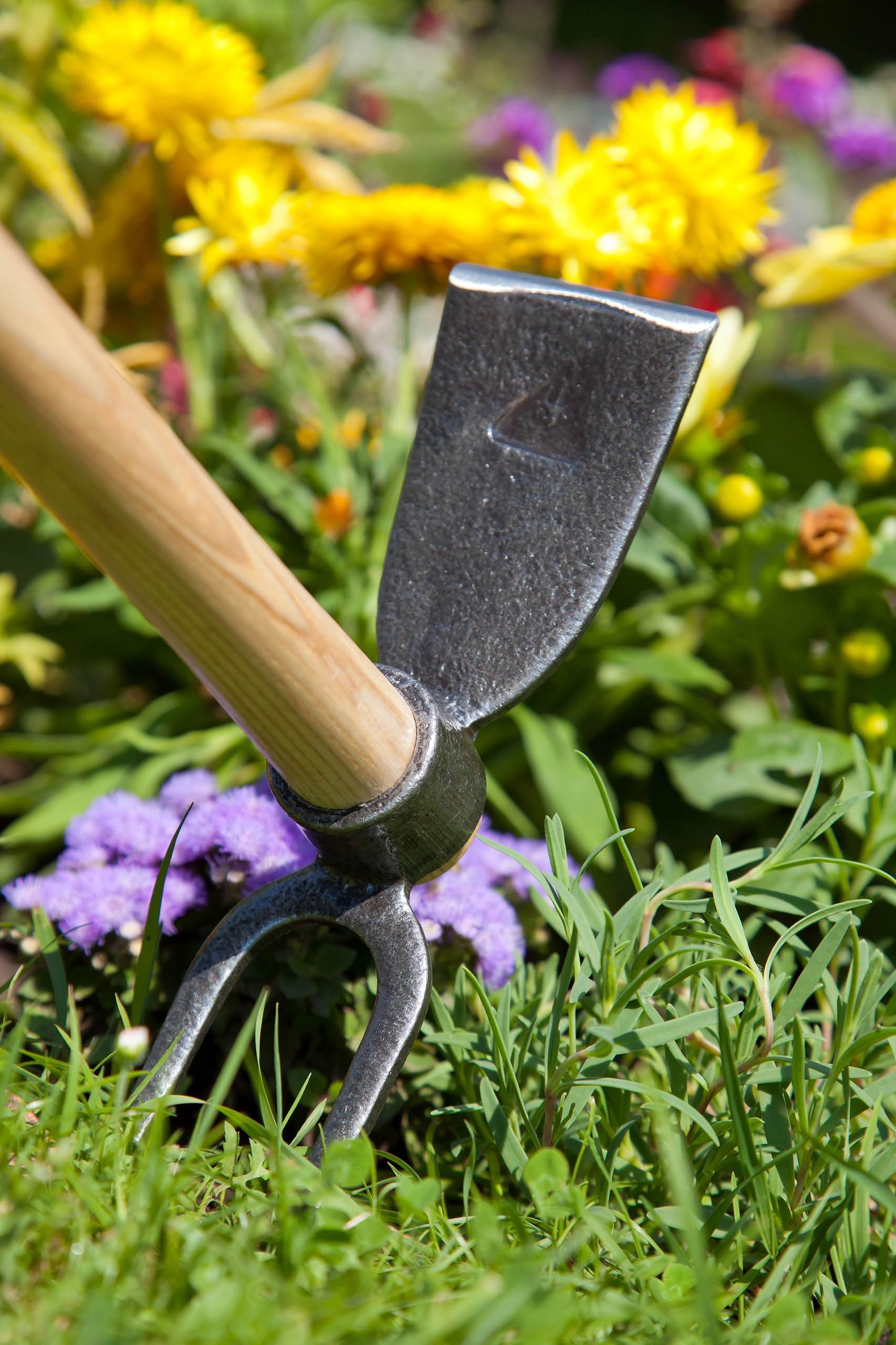 sarcia.eu Zappa da Giardino reversabile con Manico in Frassino Bordo 80 cm (1104)