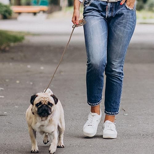 Miniatura 4 de Mile High Life Correa para perro, correas de cuerda de algodón trenzada con punta de sastre de cuero con punta de cuero, cierre de metal resistente,