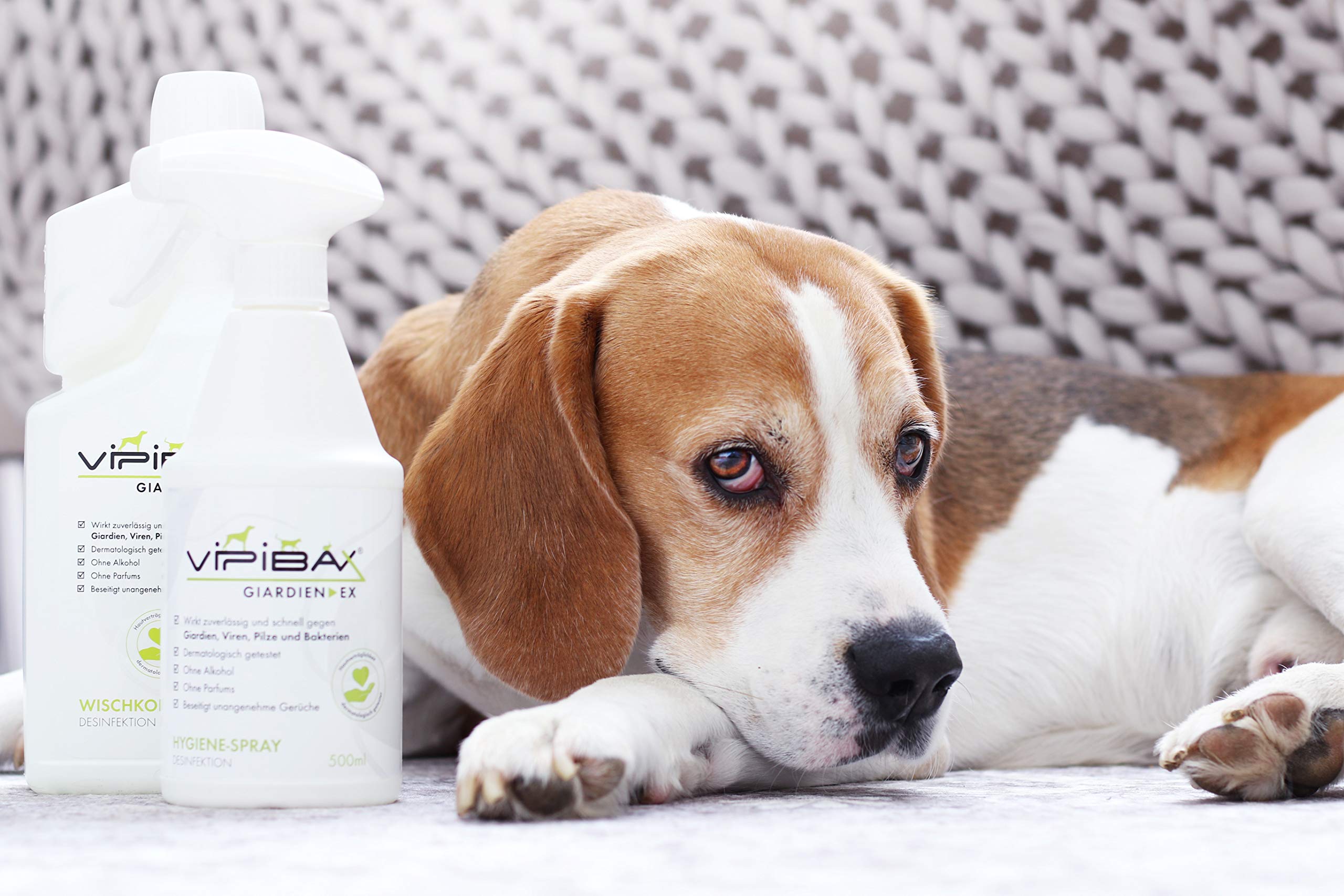 ViPiBaX Giardien Ex Wischkonzentrat 1000ml - das Hygiene-Konzentrat für Haustiere zur Desinfektion von Fußböden
