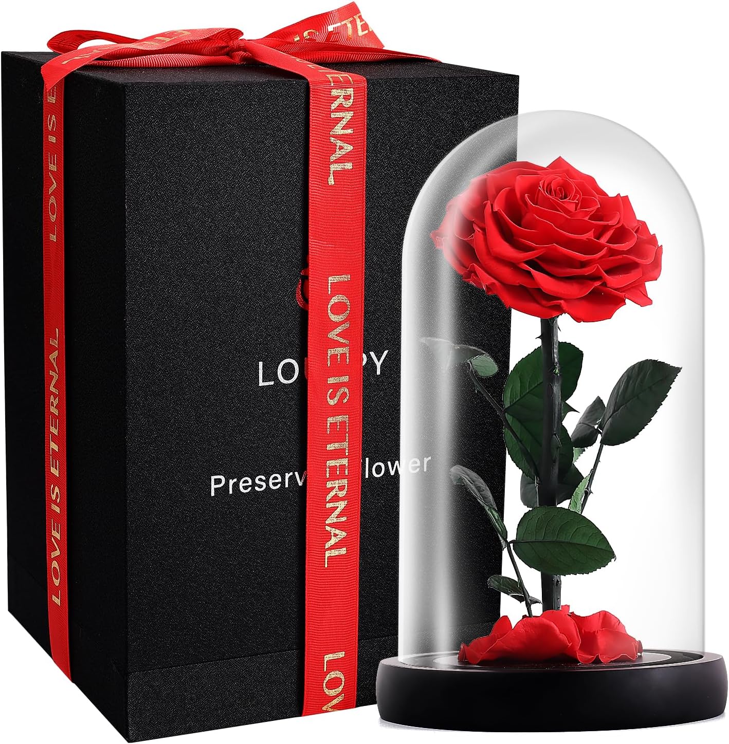 Amazon.com: Wonder Collection Forever Preserved Rose - Eternal Infinity ...