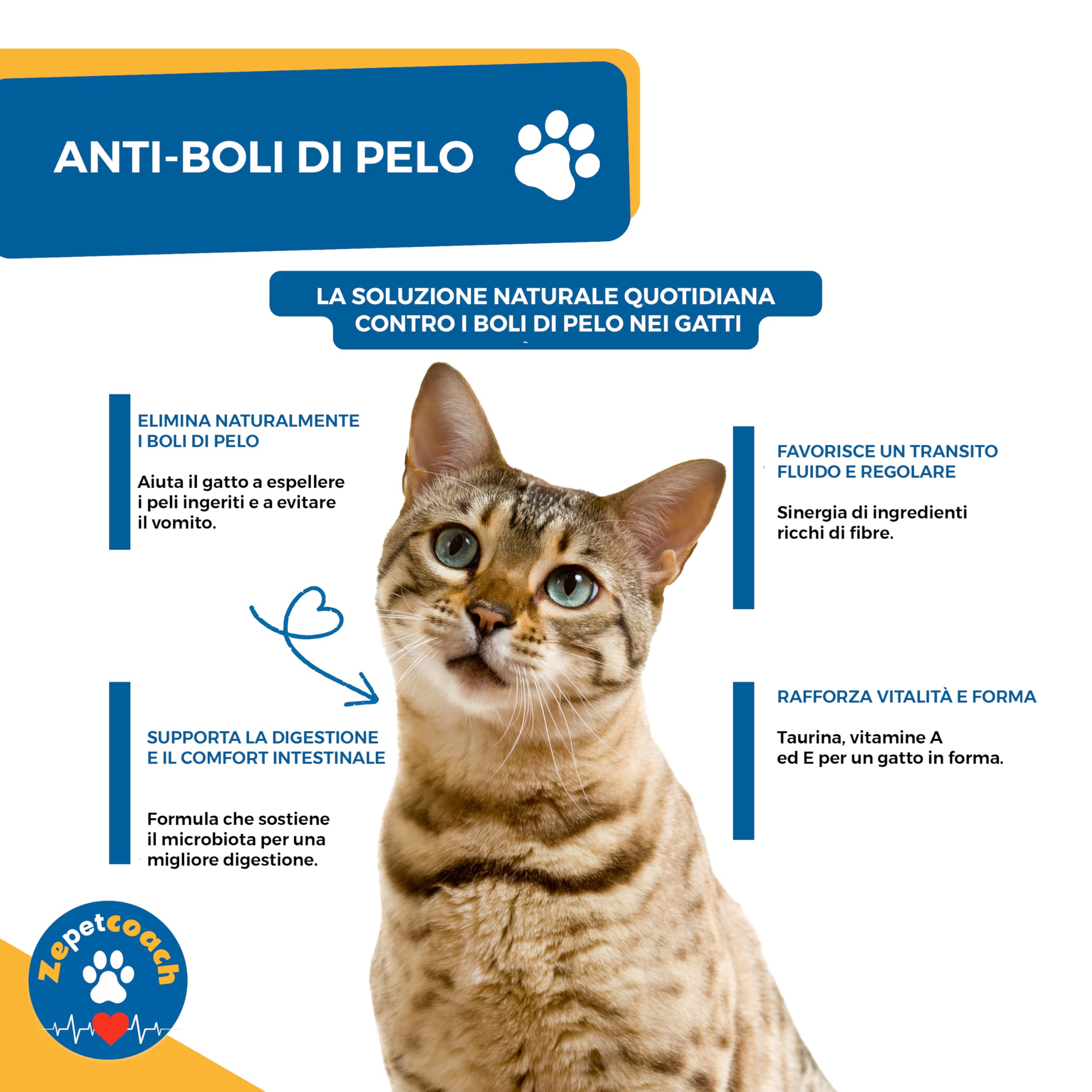 Anti-Boli di Pelo Gatto – ZPC – Integratore Naturale per Digestione & Transito – Taurina, psyllium & cicoria – 250 g