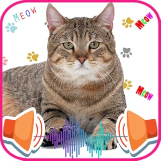 Cat Sounds & Cat Meows