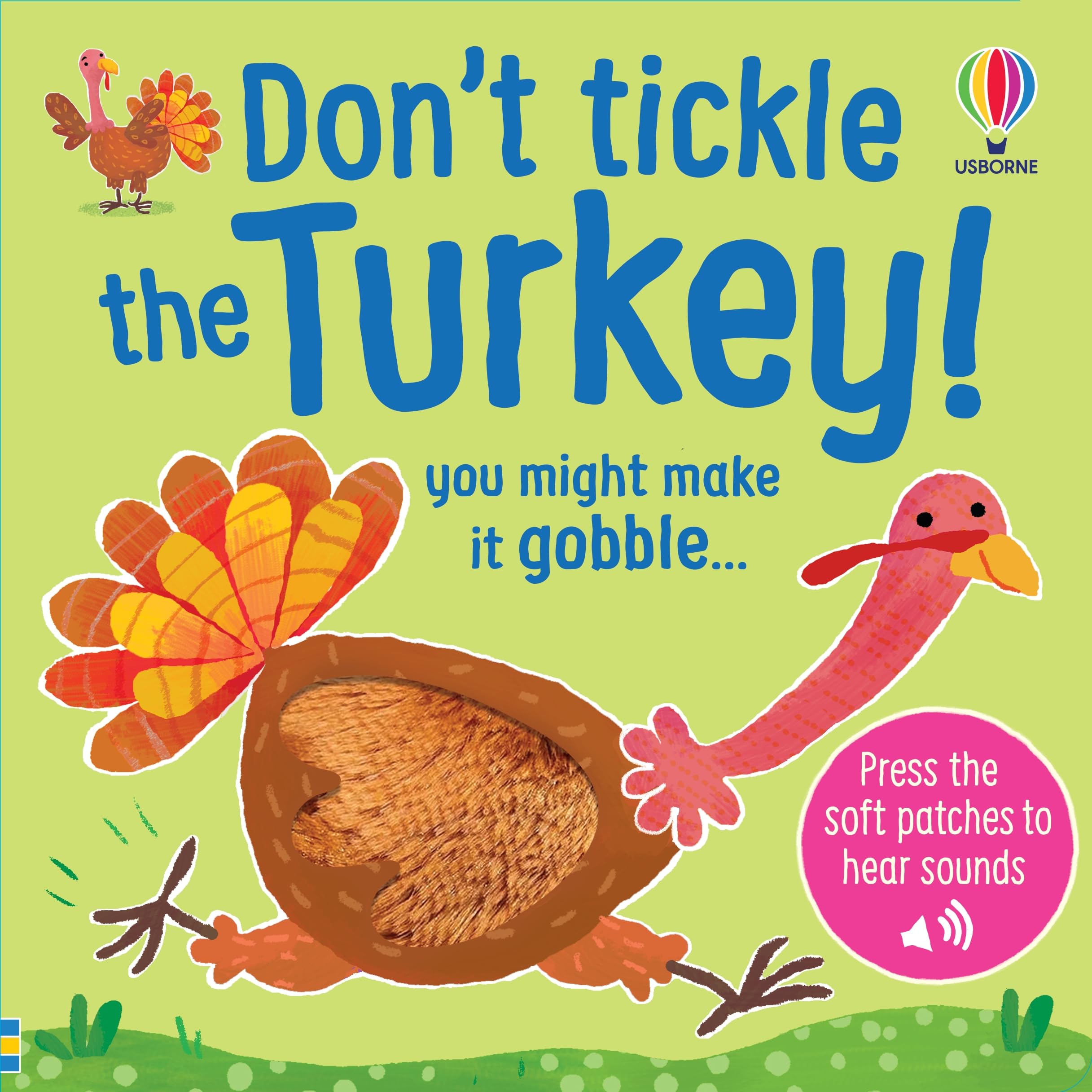 Don't Tickle the Turkey! by Sam Taplin (Board book)