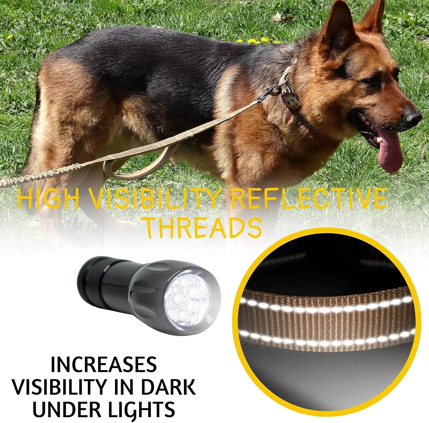 Heavy-Duty Tactical Dog Collar and Bungee Leash for Extra-Large Dogs