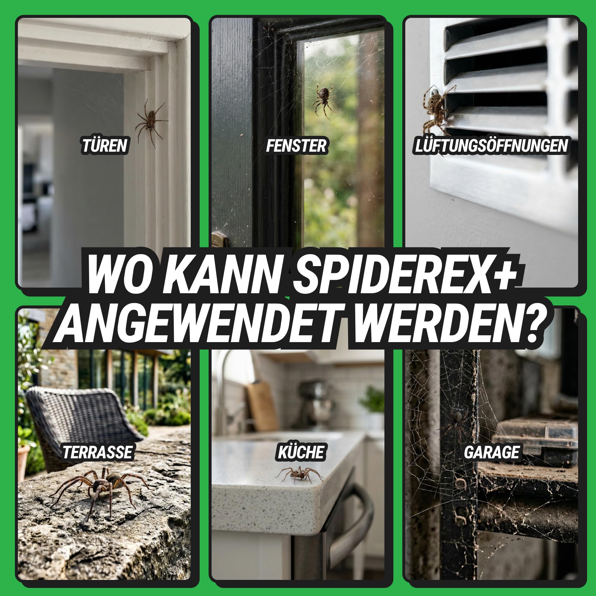 RepellShield® Spinnenspray für Haus & Garten – 500ml – Hinterlässt keine Flecken, gebrauchsfertig, Innen- & Außenbereich – Spinnenabwehr mit Pfefferminz, Geraniol und Chrysanthemenextrakt