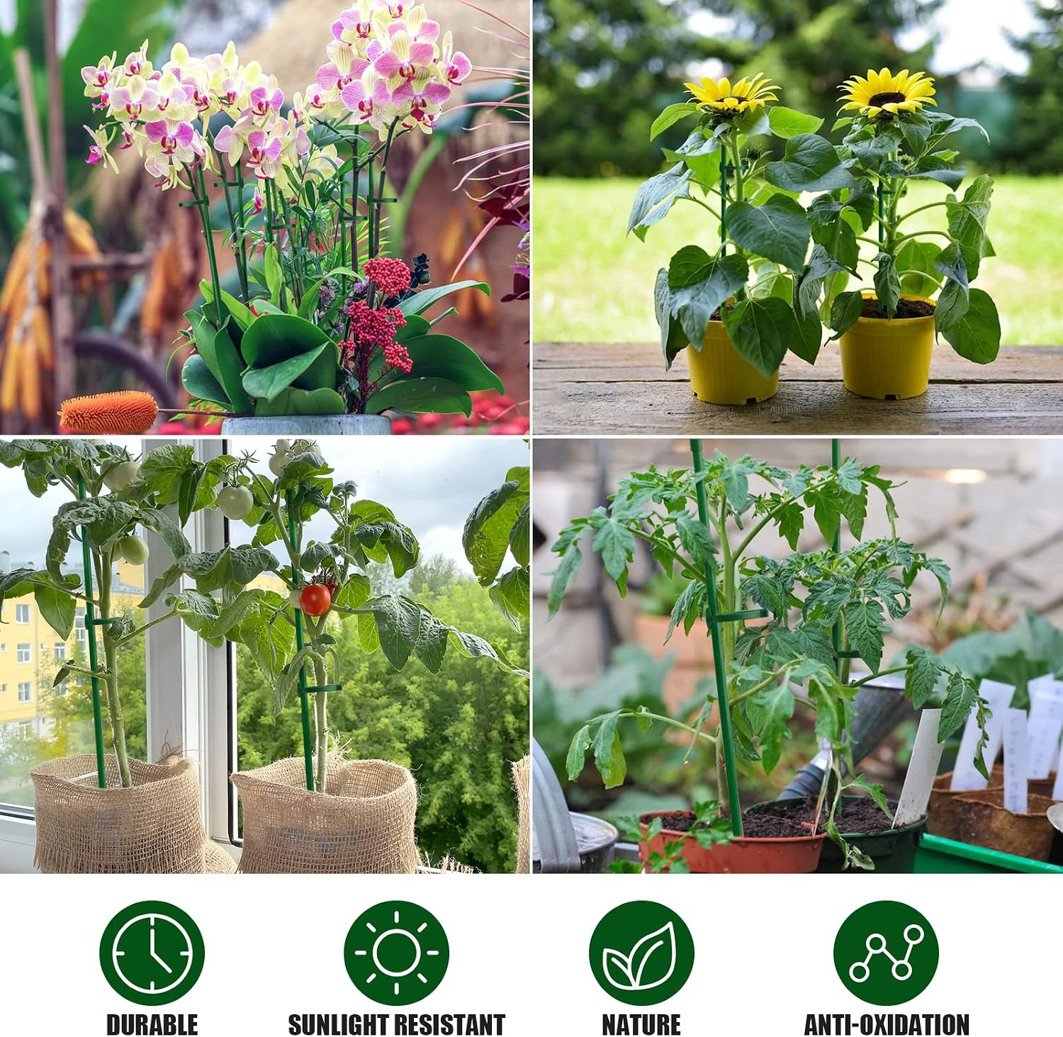 12 Pcs Plant Support Stakes, Adjustable & Extensible Garden Single Stem Floral Orchid Stakes with 24 Buckles, Plant Support Rings for Indoor and Outdoor Plants Flowers Tomatoes - 16 inch