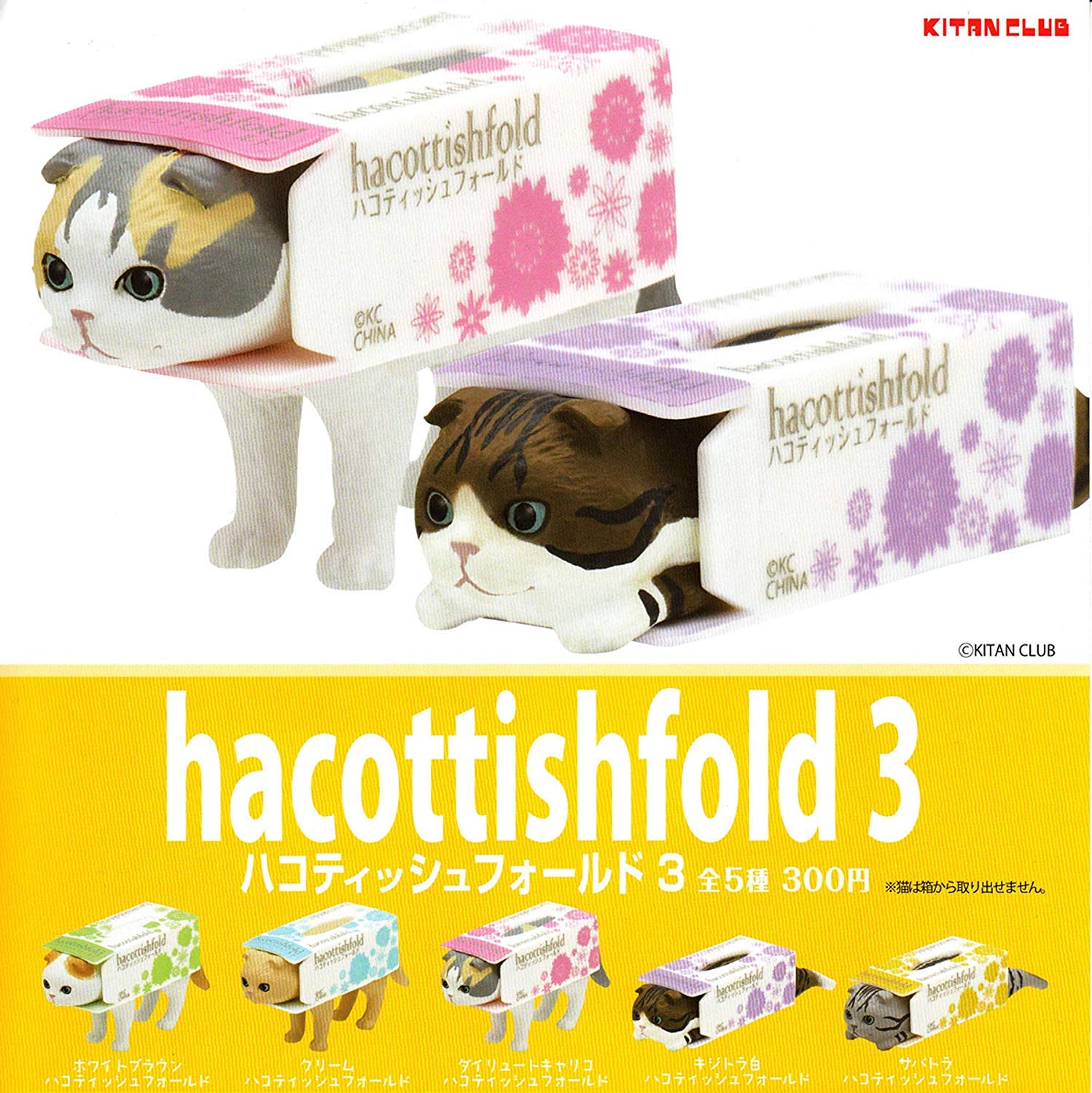 Kitan Club Hakottish Fold 3, Full Set 5