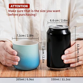 TEANAGOO Japanese Tea Cup, 7.2Oz / 205 ml, Japansese Cups,Chinese Tea Cups, Asian Tea Cups No Handles, Ceramic Cup For Japanese, Blue White Gradient, 4 Pcs/Box, H31