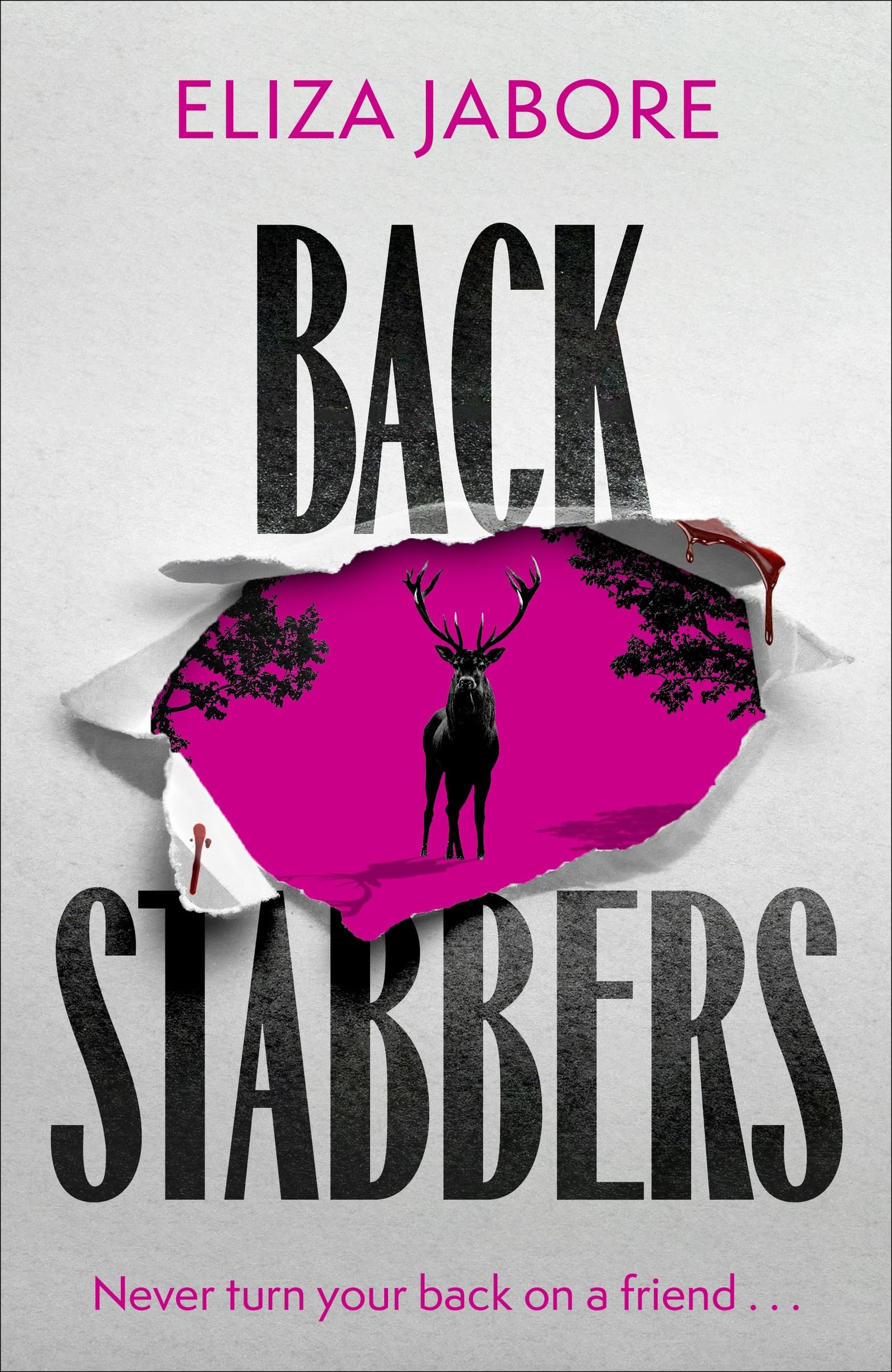 Backstabbers by Eliza Jabore Hardback