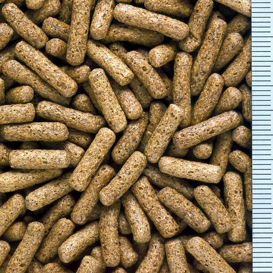 ※8/24限定セール※美品※ カメックス とりかえっこプリーズ 旧裏 楽天市場】爬虫類 カメ ボックス 亀箱 爬虫類テラリウム