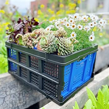 Amazon.com : Foldable Plastic Storage Crate – Stackable