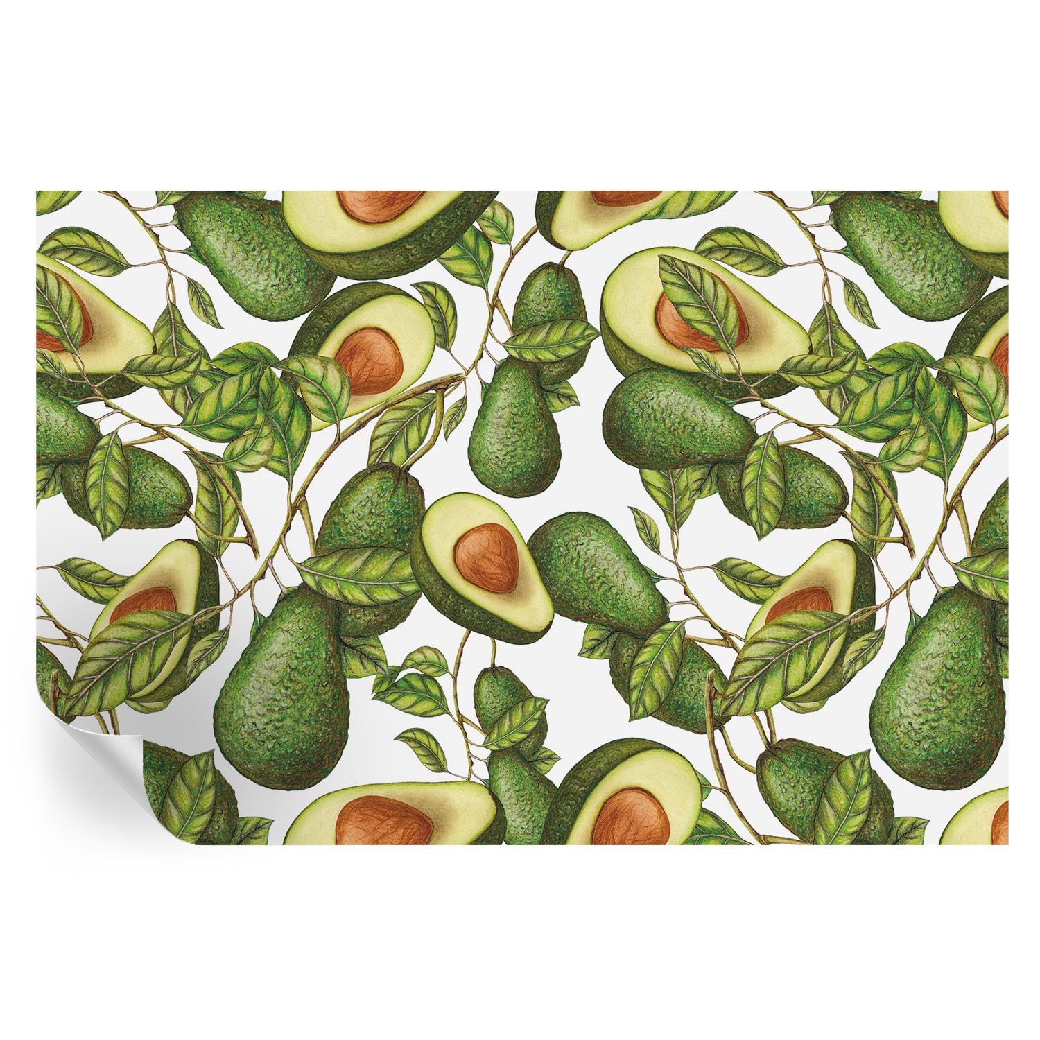 Murales autoadhesivos de aguacate 104x70 cm para tapar imperfecciones