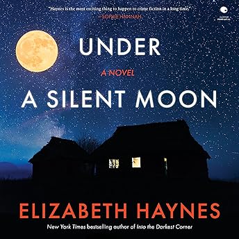 Under a Silent Moon Audiobook by Elizabeth Haynes episode artwork