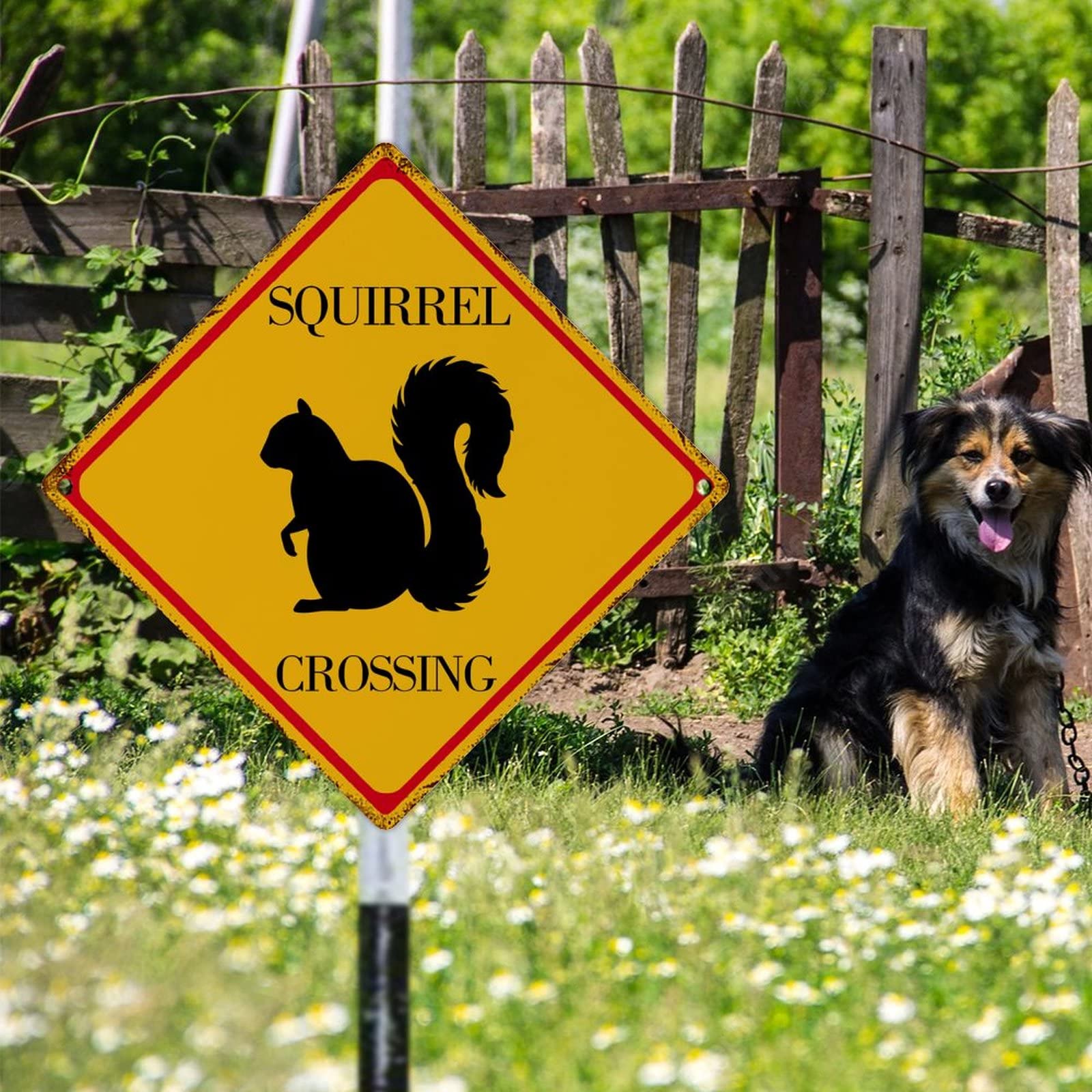 Divertente Operaio Scoiattolo Con Casco E Chiave Inglese Isolato Immagine Stock - Immagine di domestico, ridicolo: 60014739