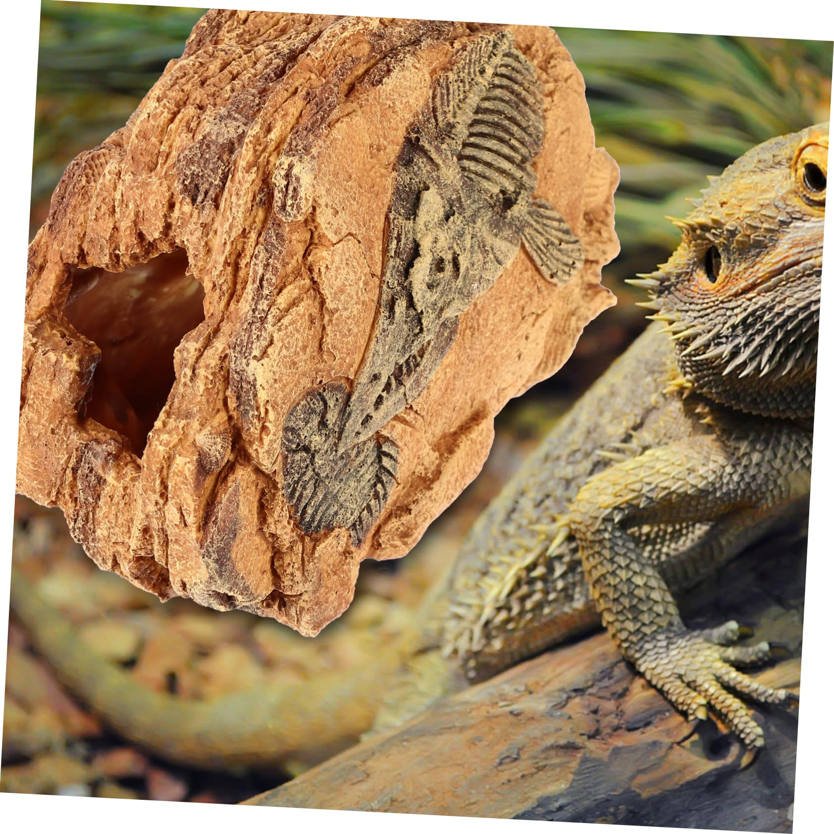 Reptilien Versteckhöhle für Terrarien aus Kunstharz, Kleine Höhle | Stain Resistant, Safe For Reptiles, Form Höhle, Passend für Reptilien im Terrarium