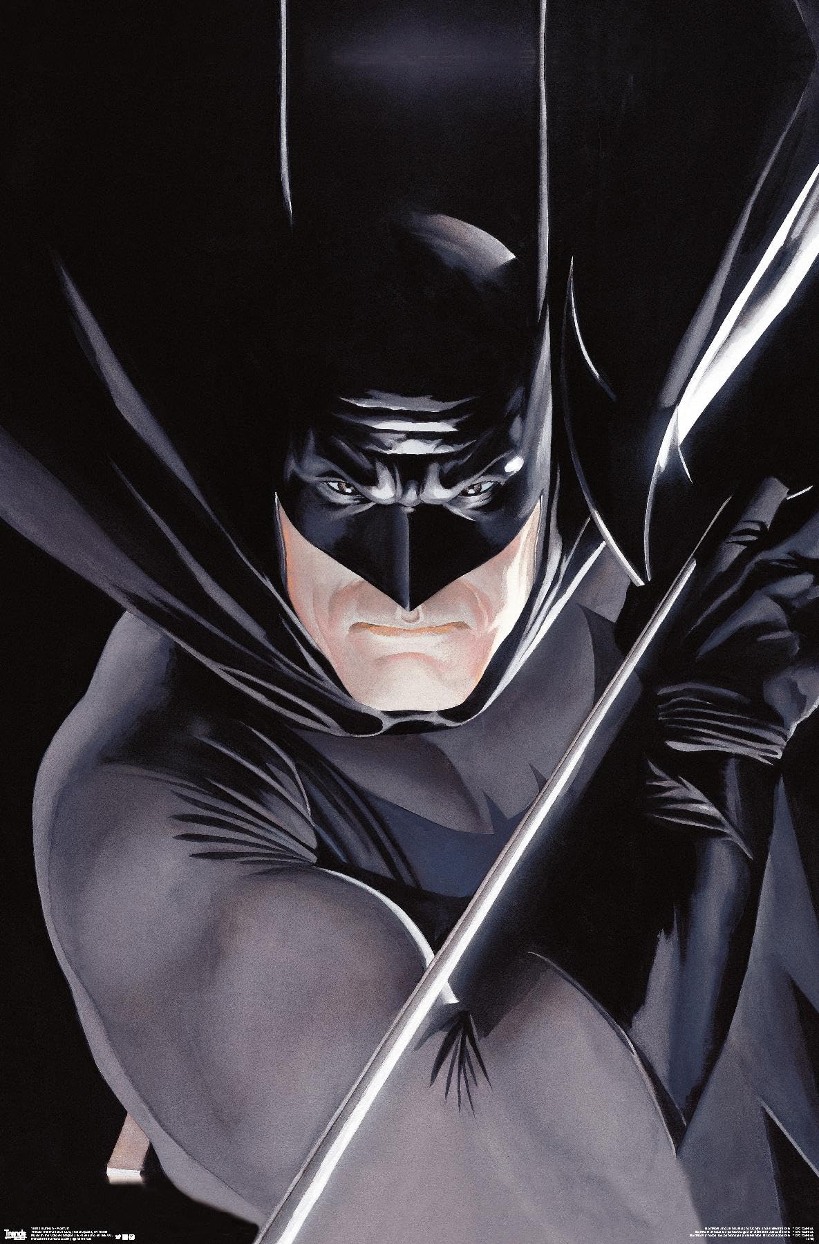 Amazon.com: Trends International DC Comics - Batman - Portrait