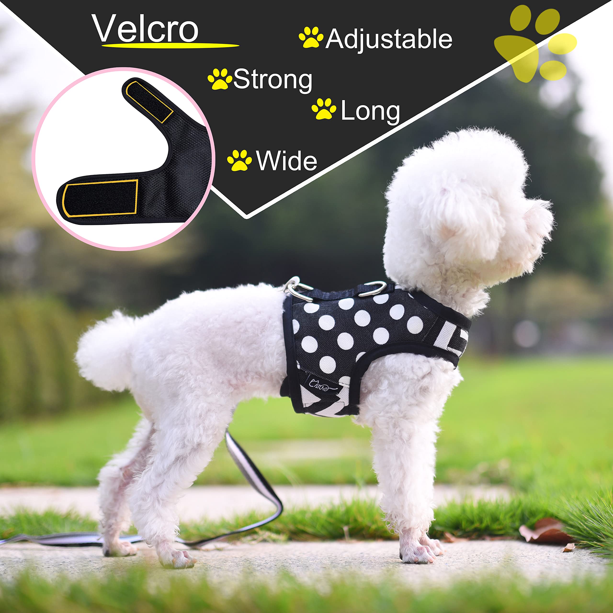 Strong & Comfortable Dog Leash For Small Breeds – Double Handle Design, USA-Made Nylon, 5/8" Width