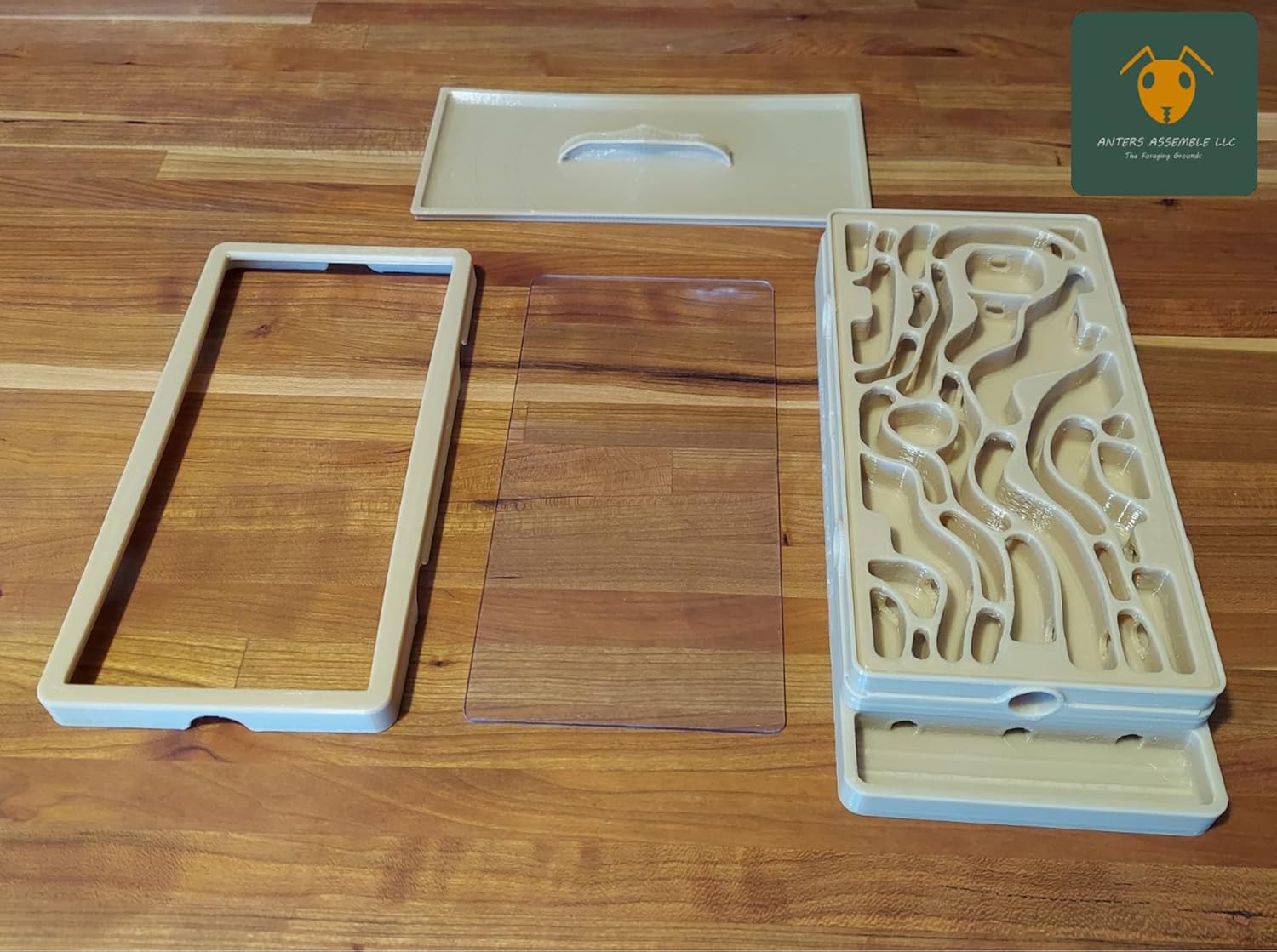 Carpenter Ant Nest, Gen 2 (Large, Wood Like)