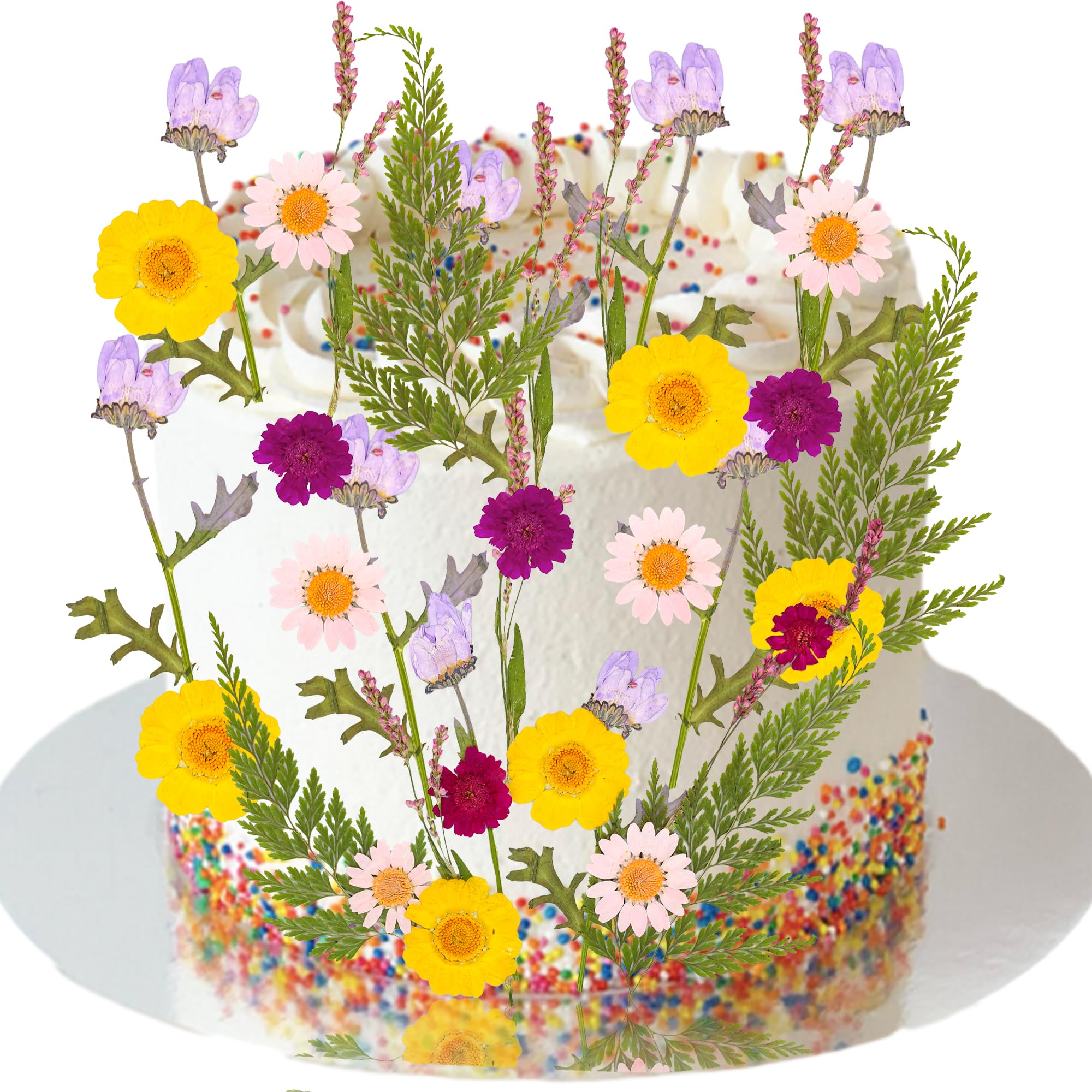 Ephlyn 24Pcs Wildflower Cake Toppers Wildflower Decor Baby In Bloom Baby Shower Cake Toppers for Women Birthday Bridal Shower Wedding Party Decoration