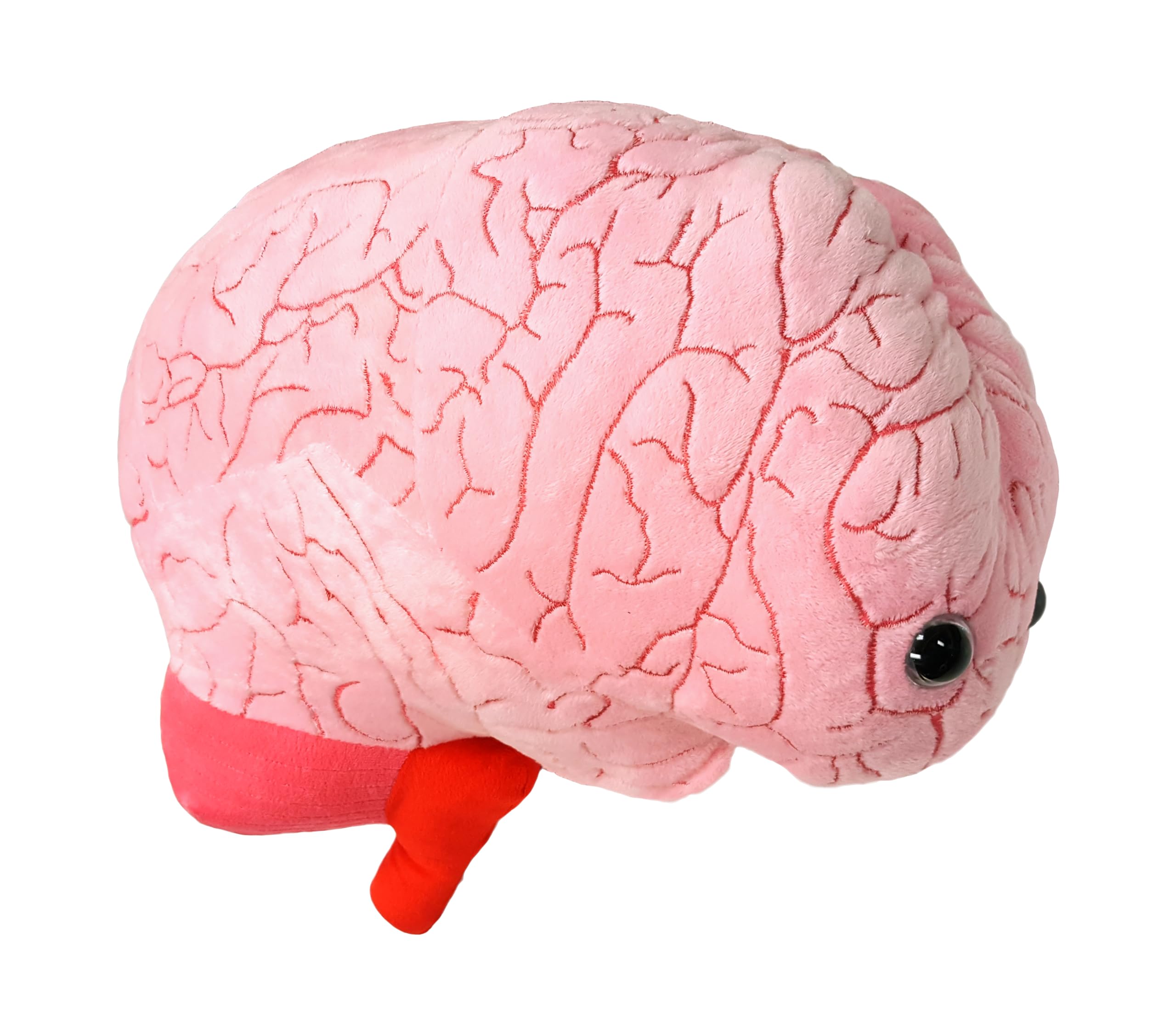 Amazon.co.jp: GIANTmicrobes 巨大脳器官ぬいぐるみ 17インチ 中学生へ