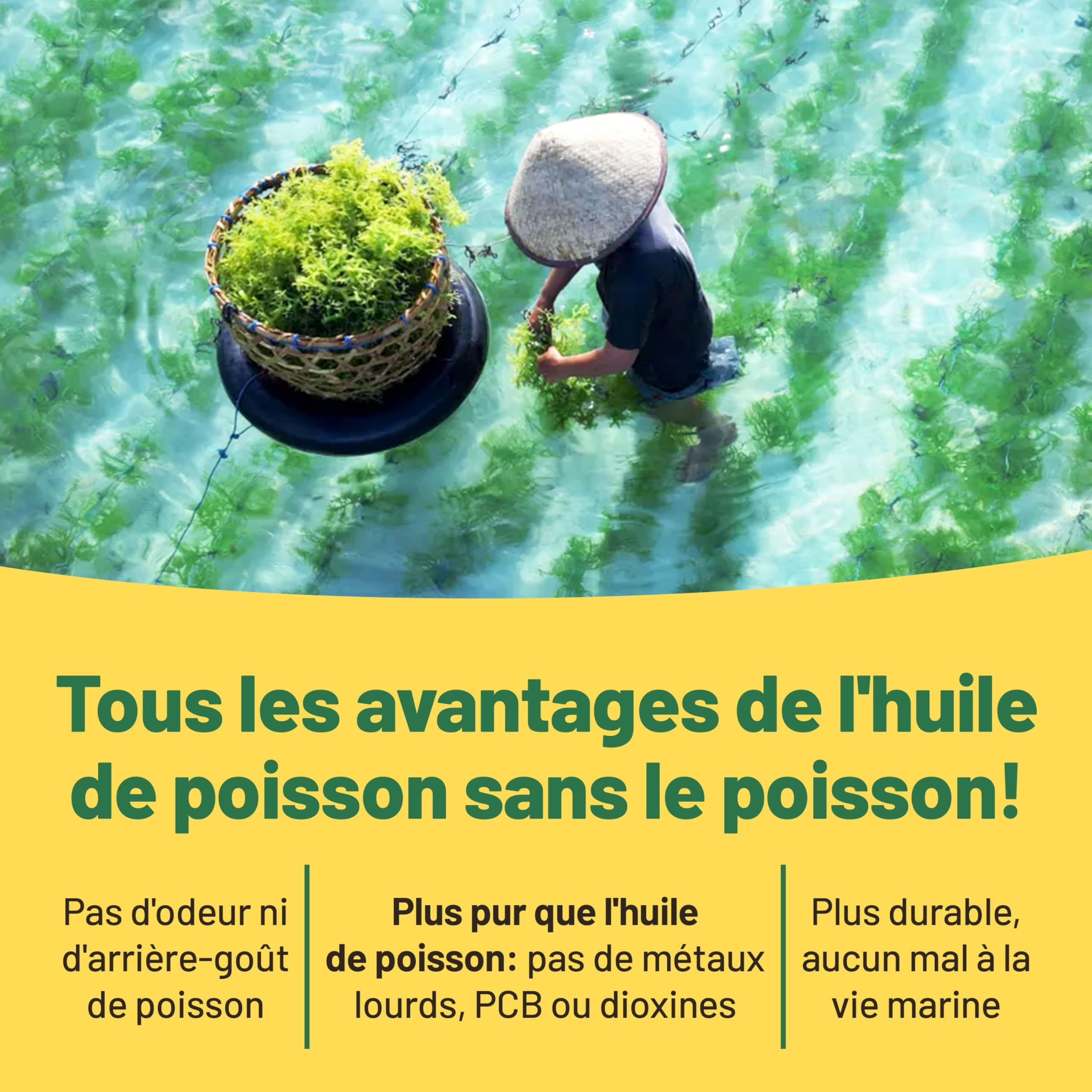 Omega 3 Vegan Huile d'algues 400 mg DHA par capsule, 60 capsules, soit 2 mois d'huile vegetale. Remplace huile de foie de morue, convient à tous les régimes vegan/végétariens