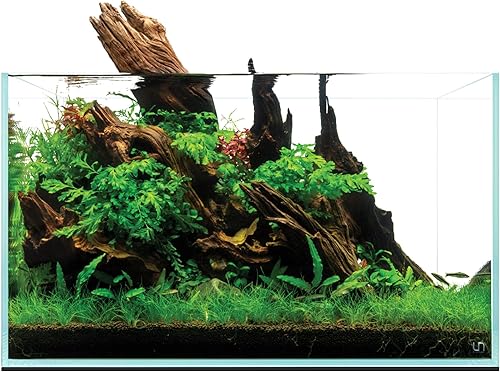 Miniatura 16 de UNS Acuario Ultra Claro Sin Borde - 25.6GAL 97.2L - 23.62x14.17x17.71 60x36x45 CM, Grosor de Vidrio de 6mm, Incluye Alfombrilla Nivelante