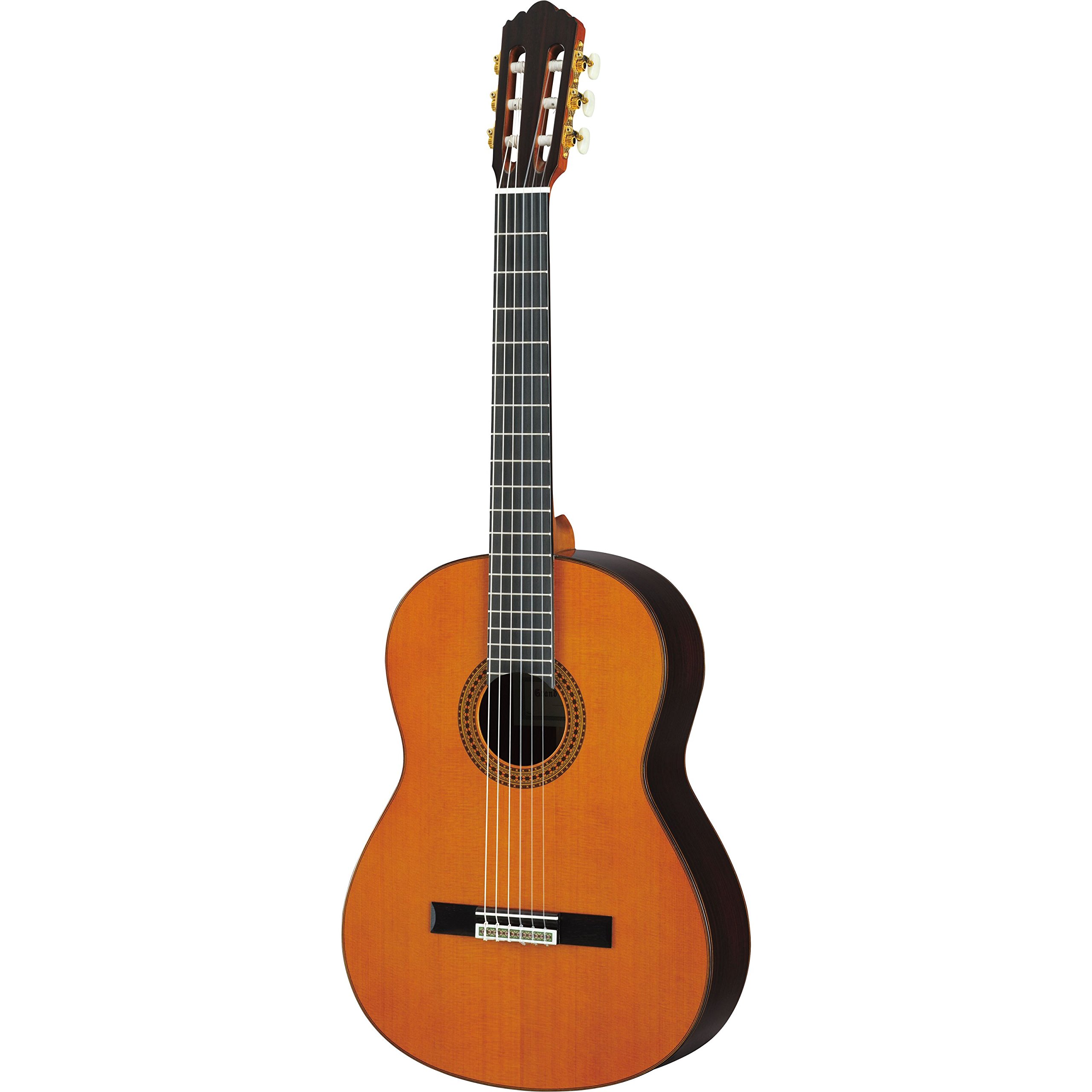 Amazon | ヤマハ YAMAHA GC22C クラシックギター | クラシックギター 