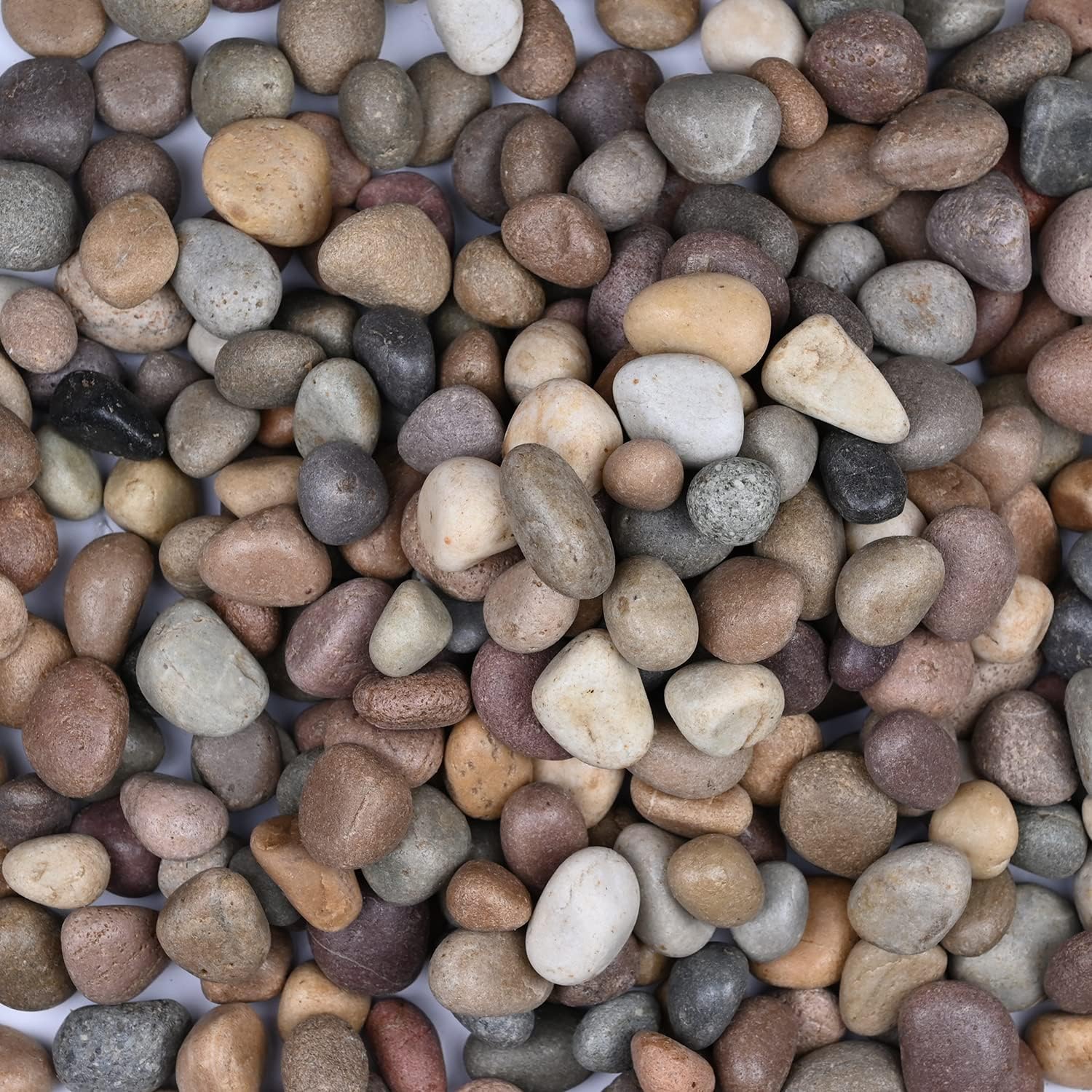 KASHLIWAL Stone SUPPLIERS Beach Pebbles, Mix Color, 1 KG Smooth & Round Stones River Rocks Decorative for Home Decor Aquariums Crafting Garden Lawn